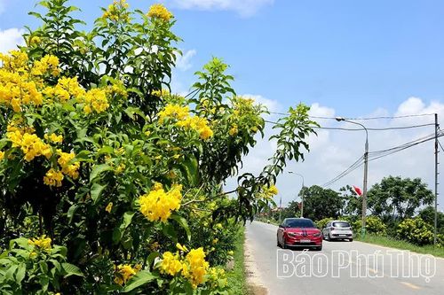 Rực rỡ sắc hoa Thu