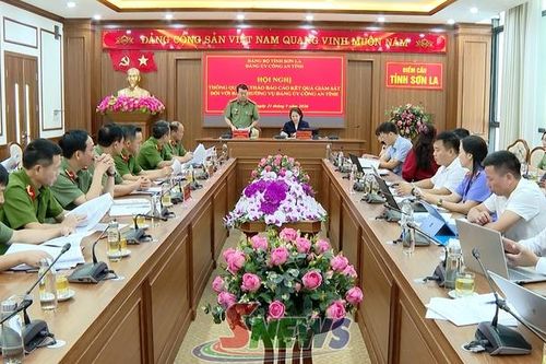 Thông qua dự thảo báo cáo giám sát đối với Đảng ủy Công an tỉnh