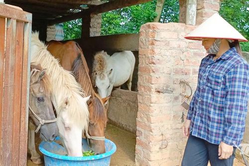Hiệu quả tín dụng chính sách ở Phủ Thông