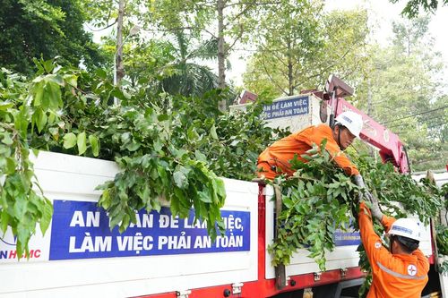 EVNHCMC chủ động bảo đảm an toàn điện mùa mưa bão