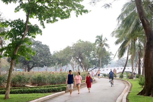 Bộ Xây dựng ban hành Thông tư hướng dẫn quản lý cây xanh đô thị
