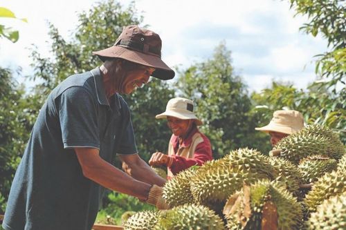 Khơi dòng xuất khẩu cho nông, lâm, thủy sản