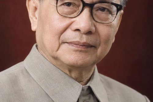 Đặng Xuân Khu – Tổng Bí thư Trường Chinh, người ghi dấu những bước ngoặt của lịch sử và cách mạng Việt Nam