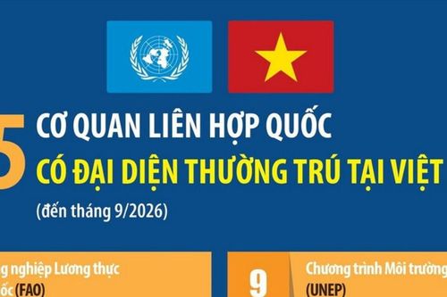 15 cơ quan Liên Hợp Quốc có đại diện thường trú tại Việt Nam