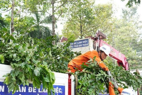 EVNHCMC sẵn sàng các phương án bảo đảm an toàn điện mùa mưa bão