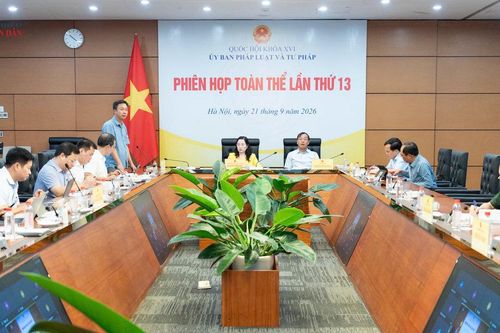 Ủy ban Pháp luật và Tư pháp họp phiên toàn thể lần thứ 13
