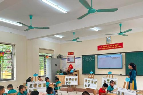 Thái Nguyên: Tinh gọn mạng lưới trường học, đổi mới quản trị để nâng chất lượng