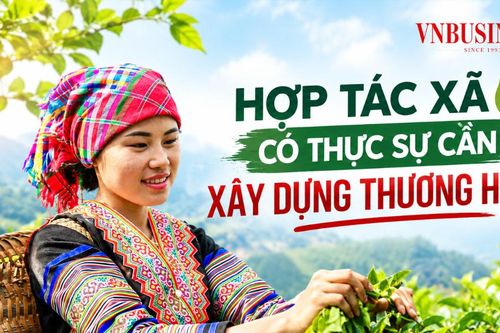 HTX có thực sự cần xây dựng thương hiệu?