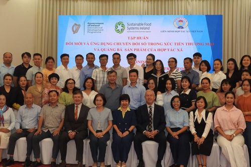 'Cầm tay chỉ việc' HTX đổi mới sáng tạo, làm bao bì chuẩn, ứng dụng AI để bán hàng