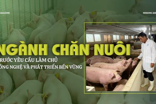 Ngành chăn nuôi trước yêu cầu làm chủ công nghệ và phát triển bền vững