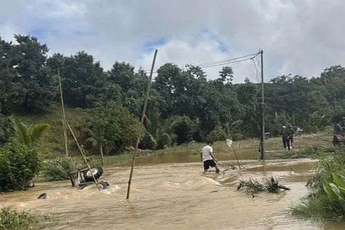 Mưa lớn gây sạt lở, hư hại nhà dân và cây cối tại Lâm Đồng