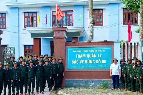 Nỗ lực bảo vệ 'lá phổi xanh' ở thành phố bên sông Hàn trong mùa mưa lũ