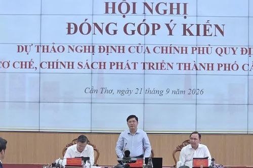 Thiết kế cơ chế đặc thù để Cần Thơ phát huy vai trò trung tâm vùng