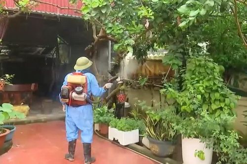 Tăng cường phòng chống sốt xuất huyết sau mưa lũ