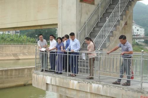 Ban Kinh tế - Ngân sách HĐND tỉnh giám sát thực địa các dự án đầu tư công tại phường Tân Giang