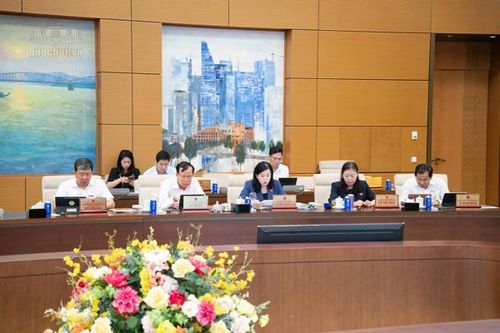 Đề xuất mở rộng nguồn hiến mô, tạng