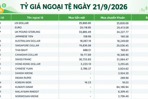 Tỷ giá ngoại tệ ngày 21/9: USD ở mức 26.210 đồng, GBP vượt 35.300 đồng