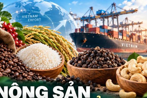 Nông sản xuất khẩu 21/9: Hồ tiêu tăng tốc, gạo Việt giữ 440-445 USD/tấn