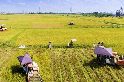 Tin tức đặc biệt trên ấn phẩm Hànộimới ngày 21-9-2026