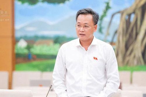 Kiến nghị Thủ tướng Chính phủ xử lý các vi phạm, khuyết điểm trong thực hiện Nghị định 178
