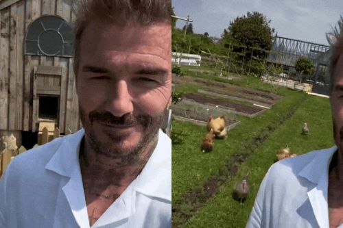 David Beckham gây chú ý, hé lộ một góc biệt thự