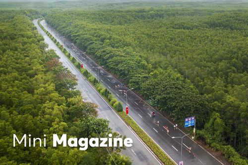 HDBank Green Marathon và hành trình củng cố vị thế di sản của Cần Giờ