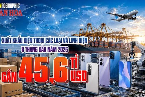Mặt hàng nào mang về gần 45,6 tỉ USD, tháng 8 bất ngờ vượt 7 tỉ?