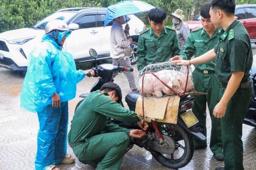 Trao sinh kế hỗ trợ phụ nữ vùng biên A Lưới thoát nghèo
