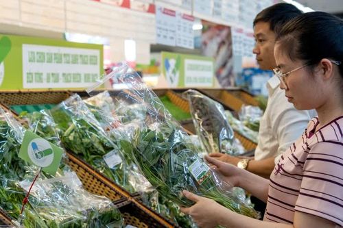Thành phố Hồ Chí Minh nâng sức cạnh tranh từ xuất nhập khẩu và chuỗi cung ứng