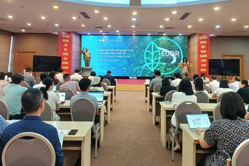 Quy định về chống mất rừng của Liên minh châu Âu (EUDR) và những điều doanh nghiệp cần biết