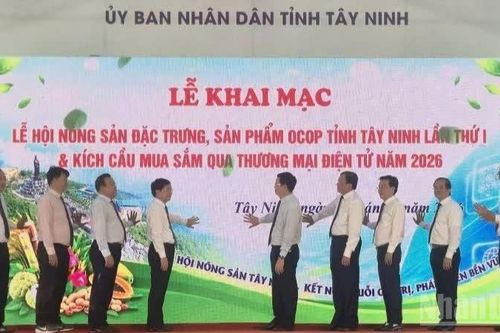 Kết nối chuỗi giá trị, phát triển bền vững