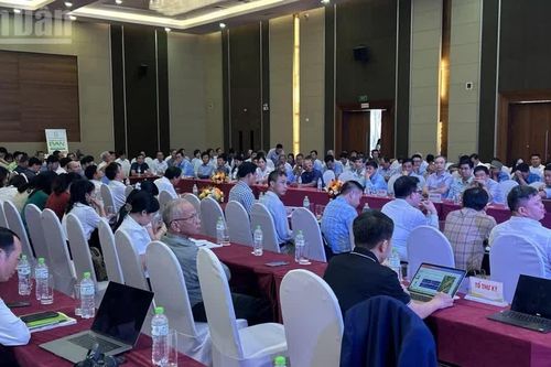 Nhân rộng mô hình canh tác lúa phát thải thấp