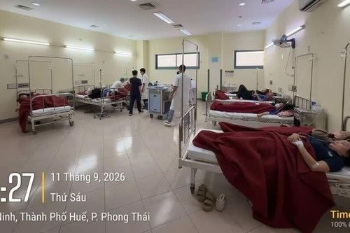Ngộ độc tại Công ty Scavi Huế làm 222 công nhân nhập viện vì liên quan hai loại vi khuẩn