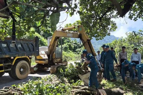 Lâm Đồng: Người dân đồng thuận bàn giao mặt bằng để thi công đường