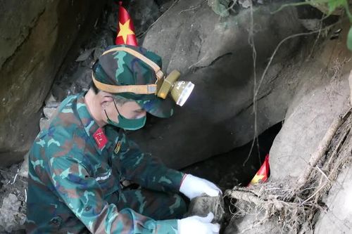 Tuyên Quang chỉ đạo khẩn trương tìm kiếm, quy tập hài cốt liệt sĩ tại điểm cao 685