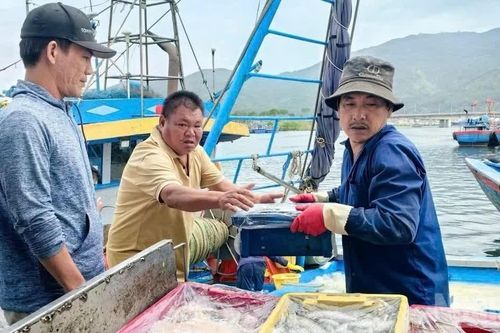 60,62% tàu cá từ 6m trở lên tham gia hệ thống eCDT