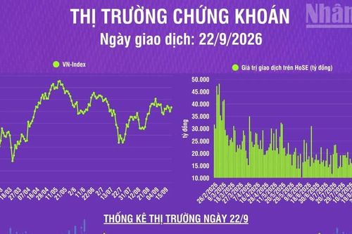 [Infographic] Chứng khoán ngày 22/9: VN-Index tăng 17,26 điểm, thanh khoản thị trường giảm