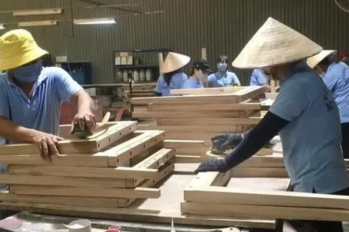 Nâng giá trị nông, lâm sản xuất khẩu từ làm chủ chuỗi cung ứng