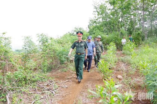 Lần tìm dấu tích liệt sĩ ở Cồn Tiên - Bài 2: Kết nối nhiều nguồn tài liệu