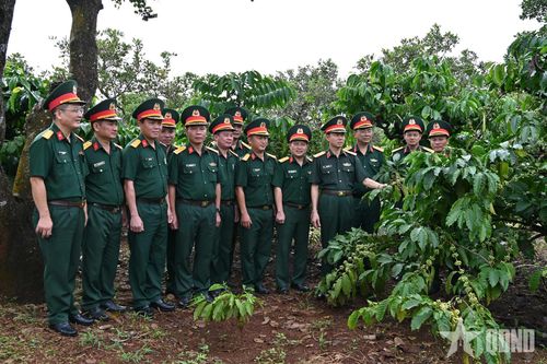 Binh đoàn 16: Đoàn Kinh tế - Quốc phòng 719 hoàn thành tốt nhiệm vụ 9 tháng năm 2026