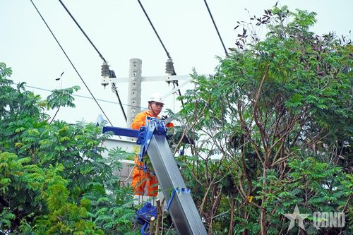 TP Hồ Chí Minh: Giữ dòng điện an toàn, ổn định trong mùa mưa bão