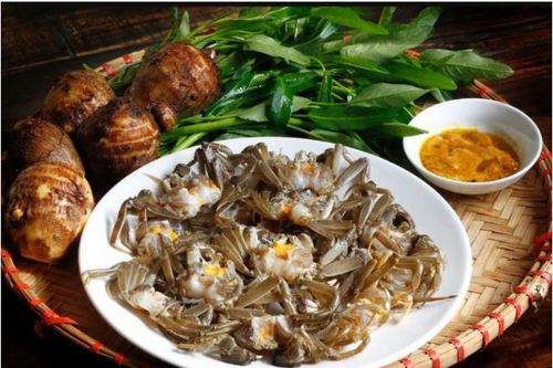 Rạm tháng Tám trên dòng sông quê