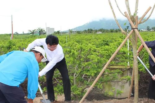 Tây Ninh kêu gọi người dân hành động 'Từ đĩa ăn sạch đến thành phố sạch'