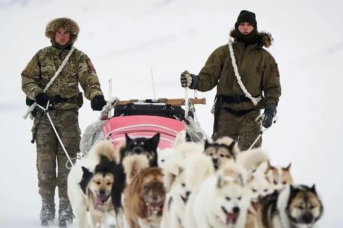 Mỹ có kế hoạch mở hai căn cứ quân sự mới tại Greenland
