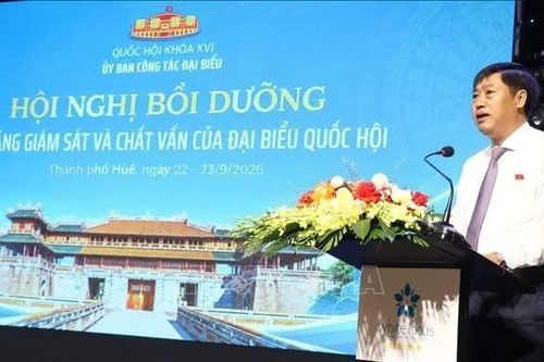 Hoạt động giám sát và chất vấn là 'thước đo' hiệu lực, hiệu quả của Nhà nước