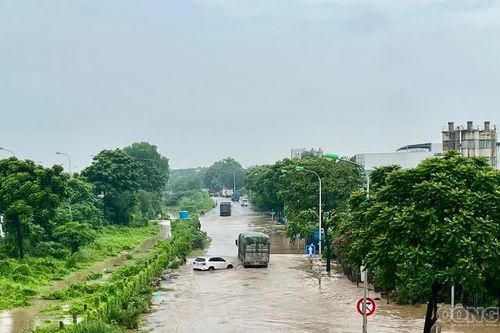 Dự báo thiên tai phức tạp, Bộ Xây dựng chỉ đạo các đơn vị chủ động ứng phó