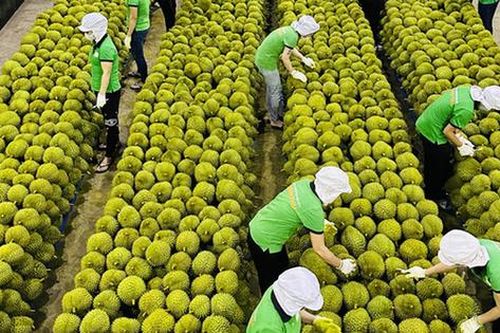 Nâng cao giá trị kinh tế nông sản Việt