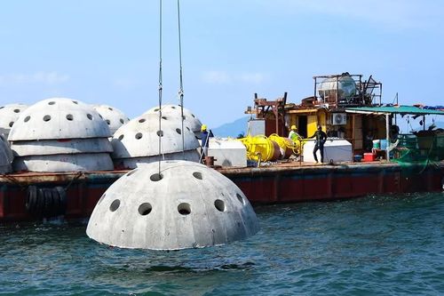 Hà Tĩnh dùng tiền Formosa bồi thường để làm 'nhà' cho tôm cá