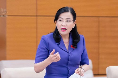 Chủ nhiệm Ủy ban của Quốc hội: 'Giảm thuế để nâng chất lượng bữa ăn trường học, bệnh viện thì quá tuyệt'