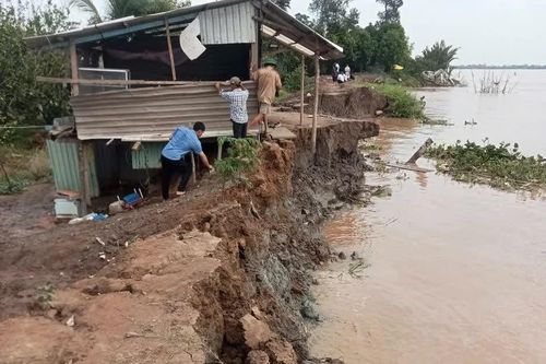 Mới đầu mùa lũ, đê bao cồn Thanh Long lại lở